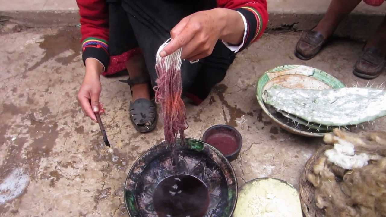 Cochinea Red Dye - The Use of Cochineal Beetles as Natural Fabric Dye in Chinchero, Peru.