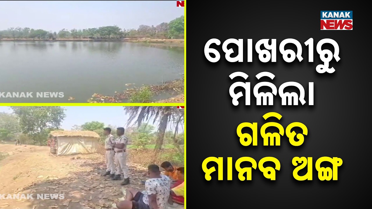 Human Skeleton Found in Pond in Kalahandi