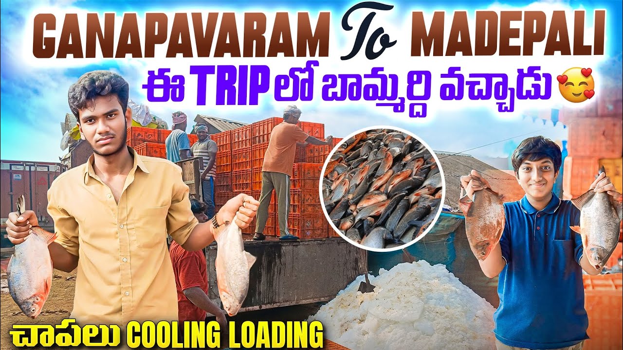 Chapallu cooling loading ganapavaram to Madepali#trendingvideo#travelblog#1millionviews#travelvideo 