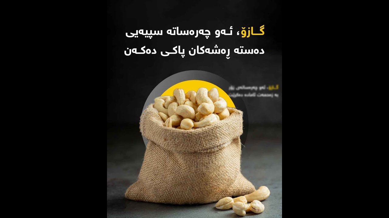 گـازۆ، ئــەو چەرەساتە سپیەیی دەستە ڕەشەکان پاکی دەکەن