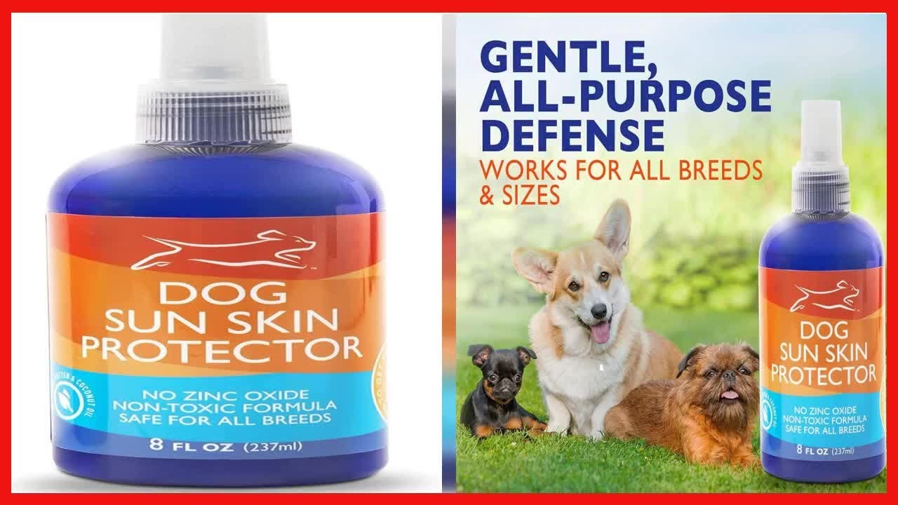 EBPP Dog Sun Skin Protector Spray - Safe for All Breeds with No Zinc Oxide - Pet Protection
