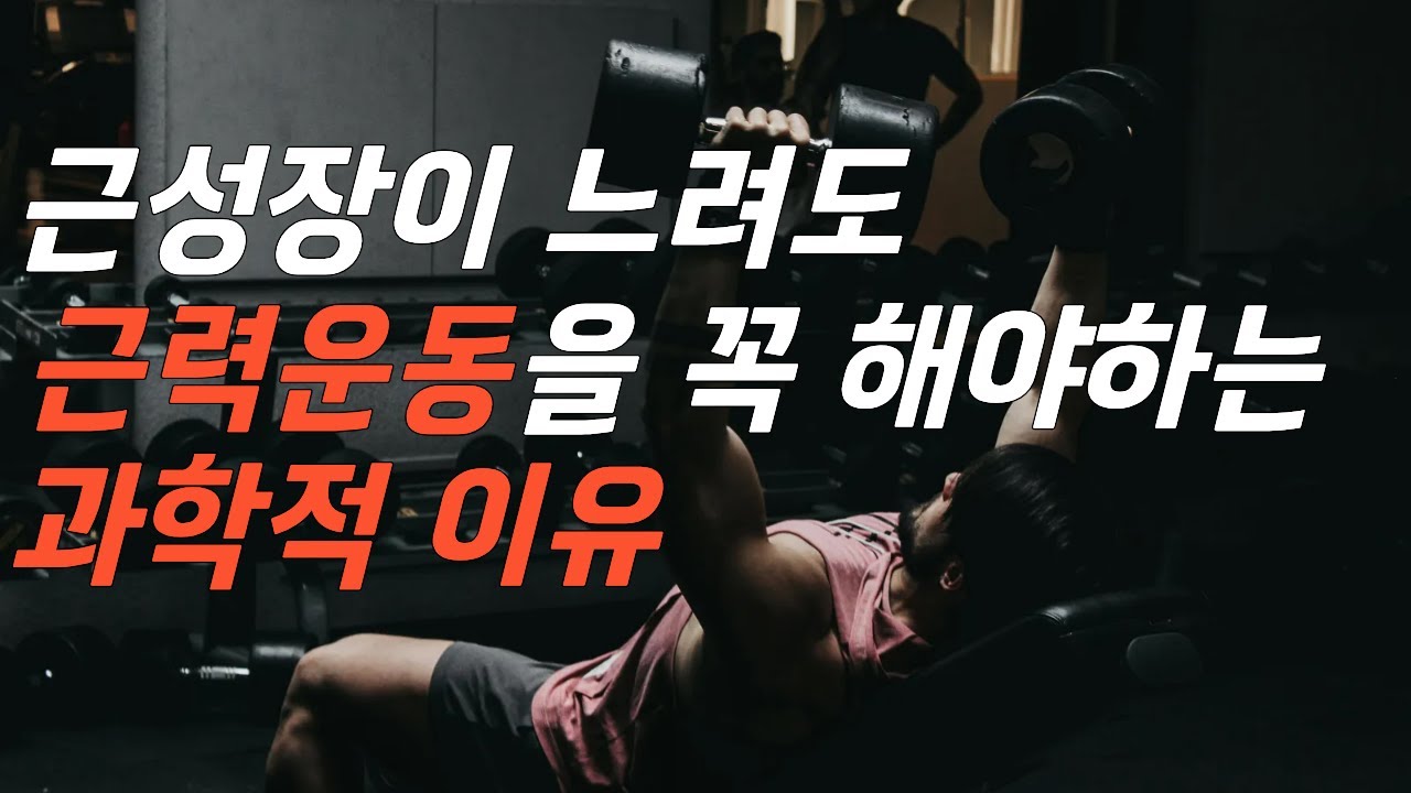 운동해도 티 안 날 때: 멈춘 게 아니라 ‘응축’ 중입니다