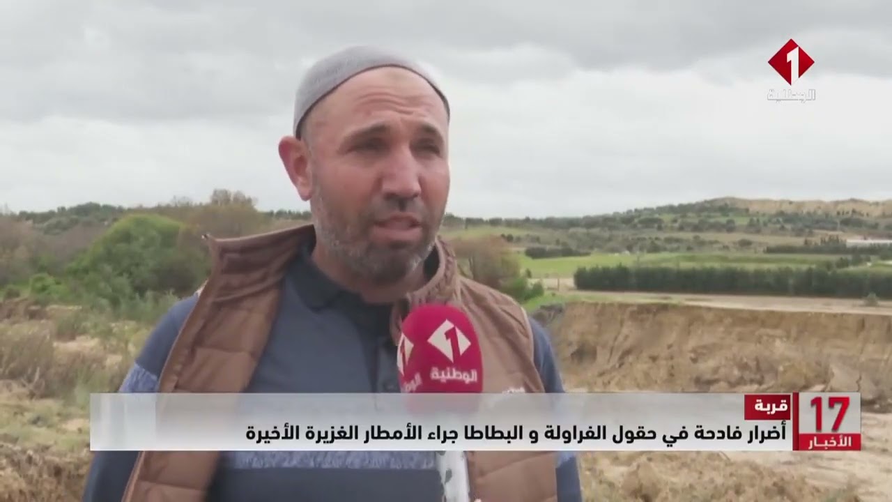 قربة || أضرار فادحة في حقول الفراولة و البطاطا جراء الأمطار الغزيرة الأخيرة