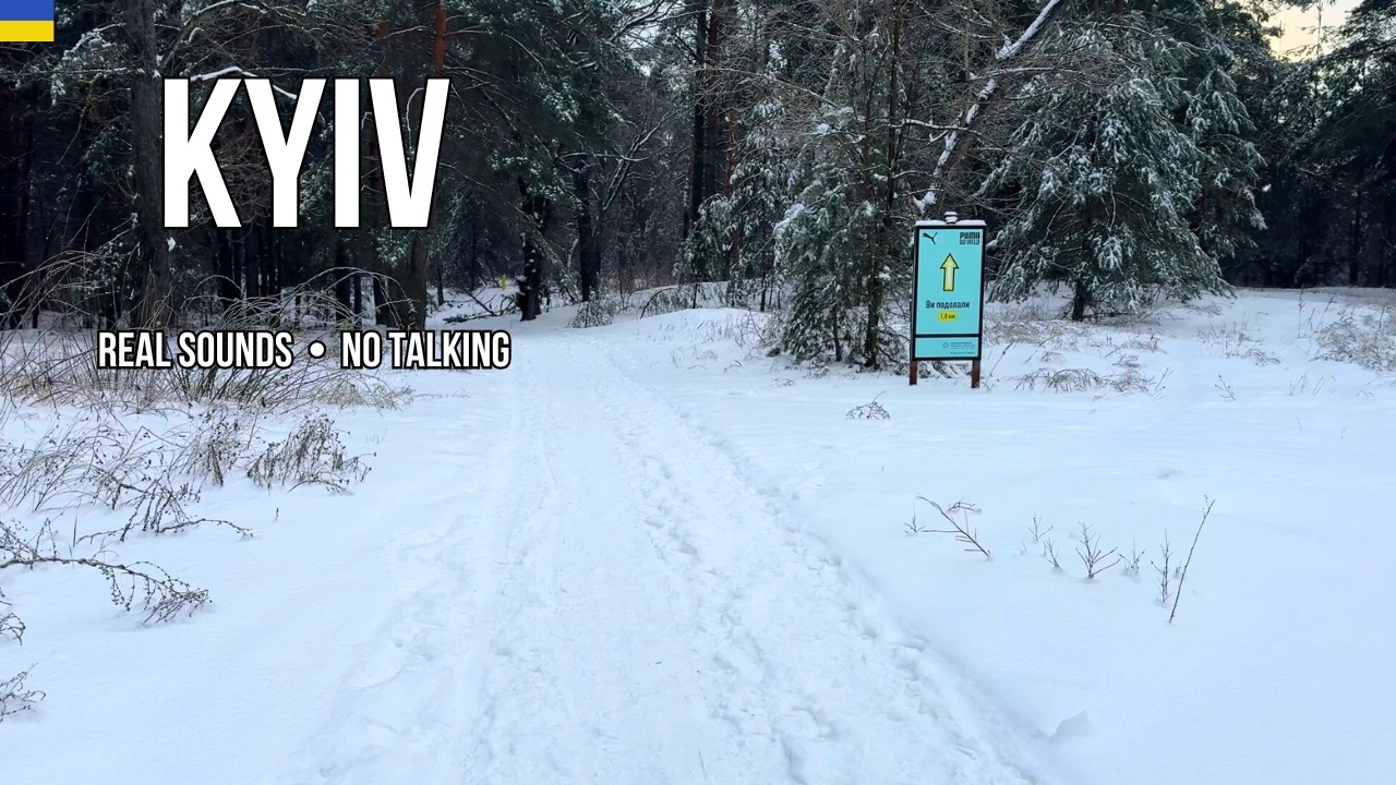 Kyiv Winter Park Walk ❄️ | Trukhaniv Island POV • No Talking • Real Ambience