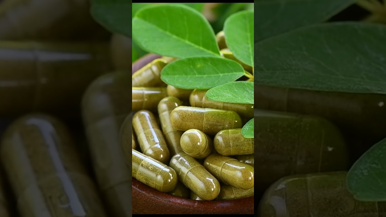 English: Unlock the Most Profitable Moringa Products to Export!