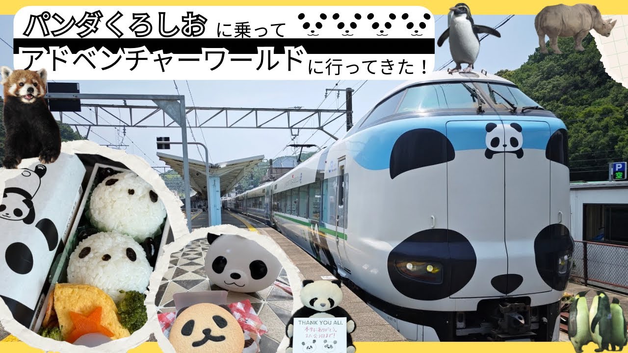 【JR特急・くろしお】パンダくろしおに乗ってアドベンチャーワールドに行ってきた！｜大阪↔︎和歌山・白浜
