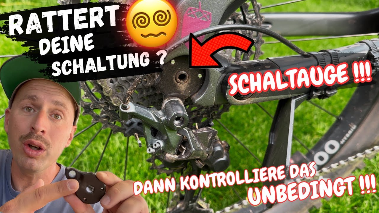Check das umbedingt wenn deine Schaltung Rattert !!! Schaltauge / UDH verbogen !!!