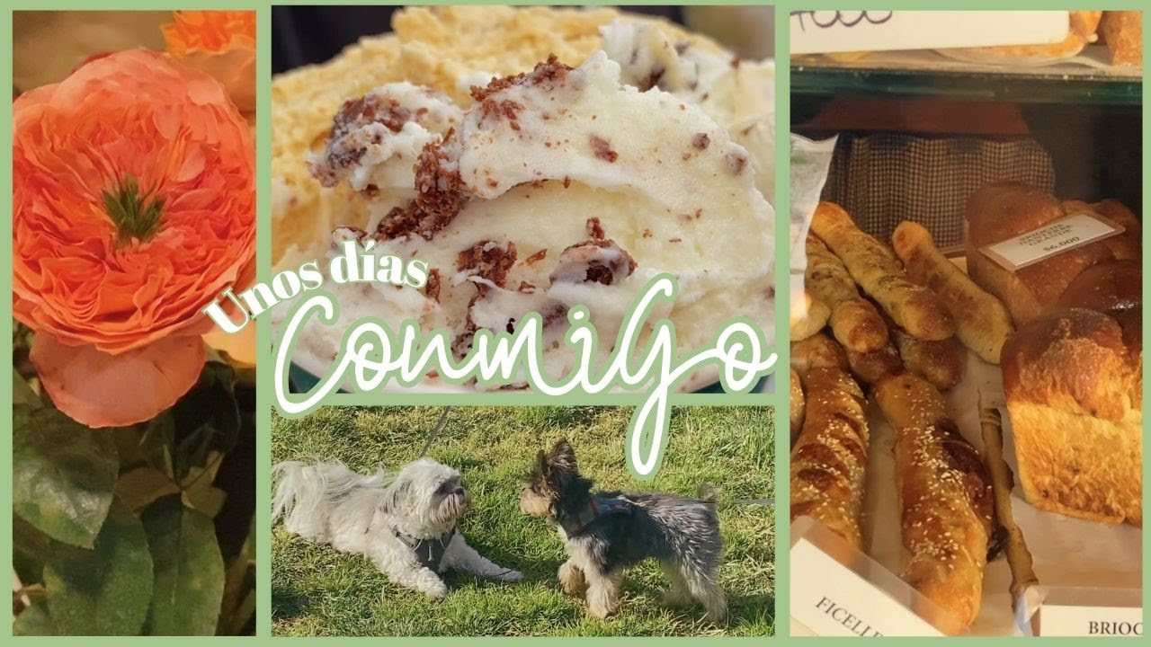 Unos Días Conmigo en Santiago de Chile |  comidas, compras, parque y helados