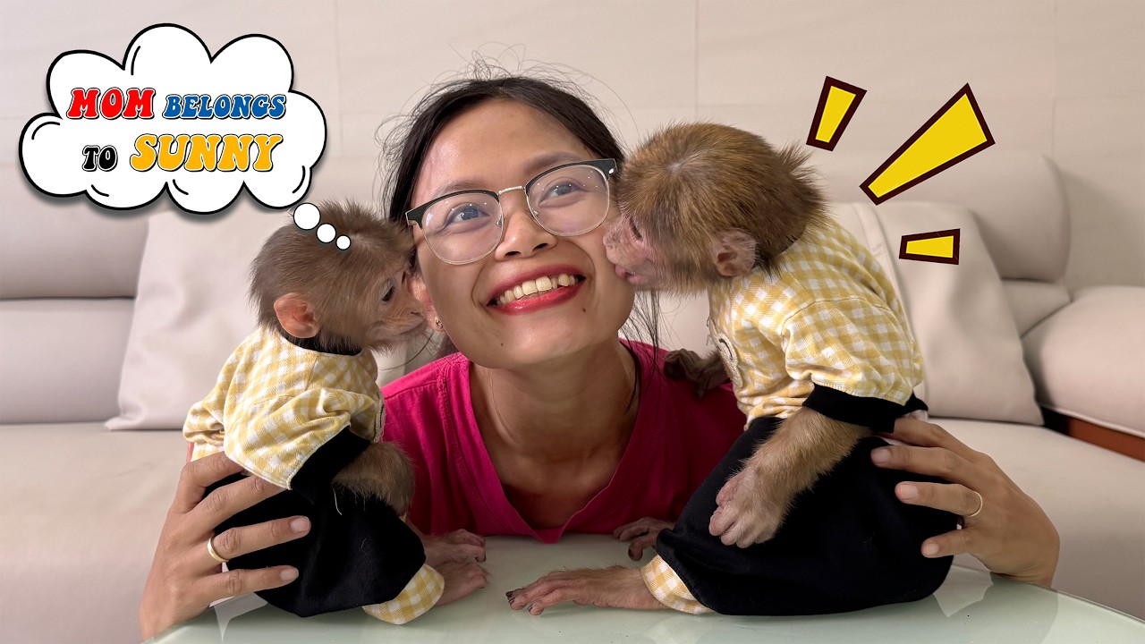 Funny! Lucky and Sunny compete to show their love for mom