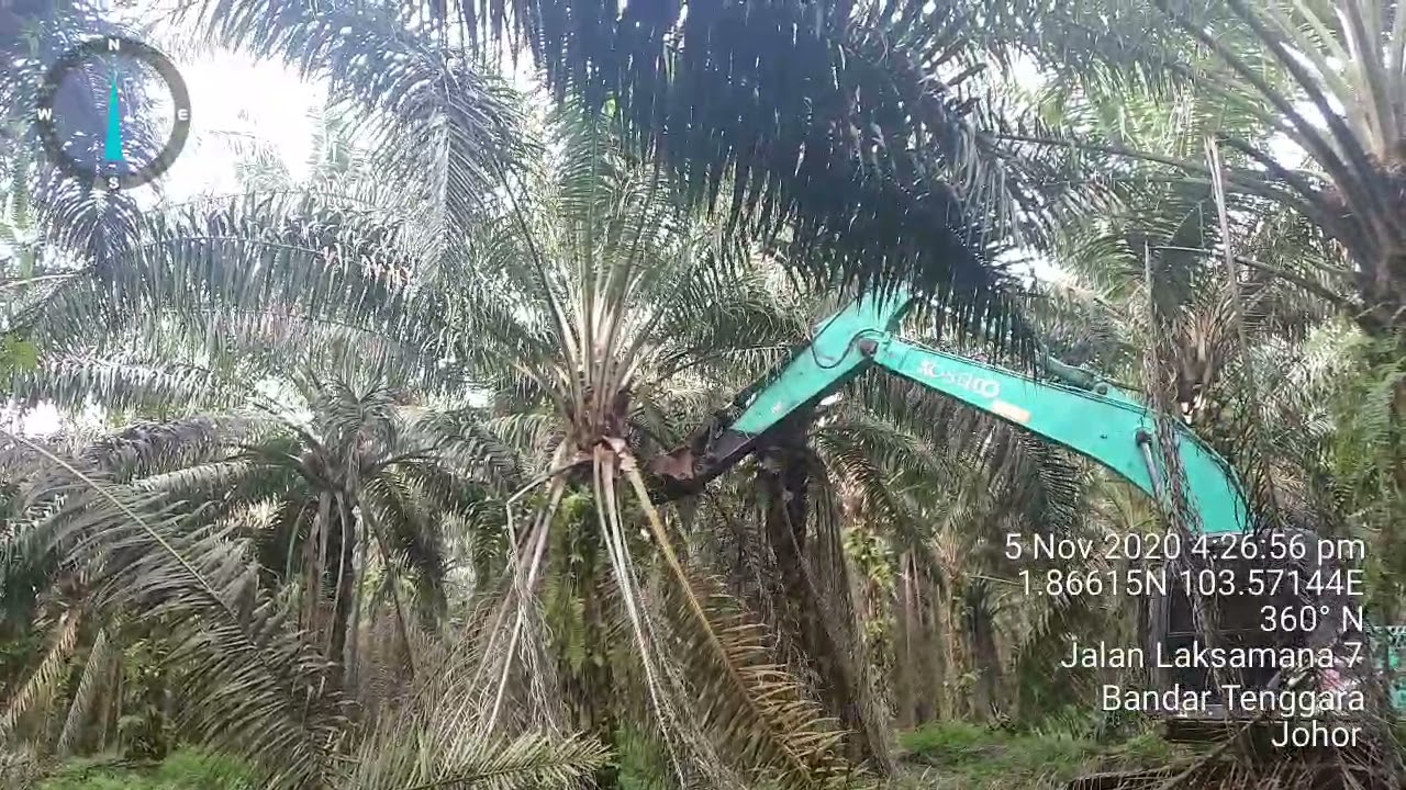 pruning pelepah sawit guna mesin excavator :)