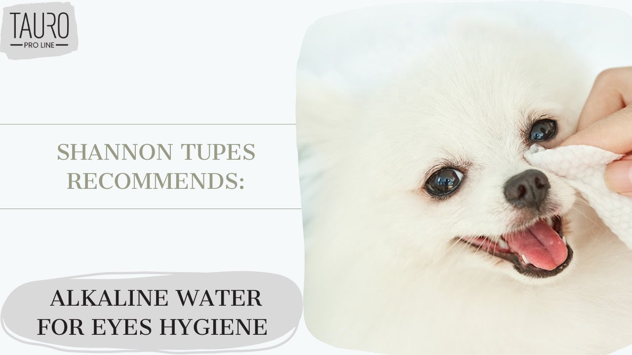 Shannon Tupes recommends: how to properly clean pet's eyes?