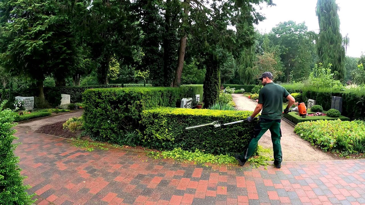 EXCELLENT SATISFYING in the Cemetery PRUNING of Hedges