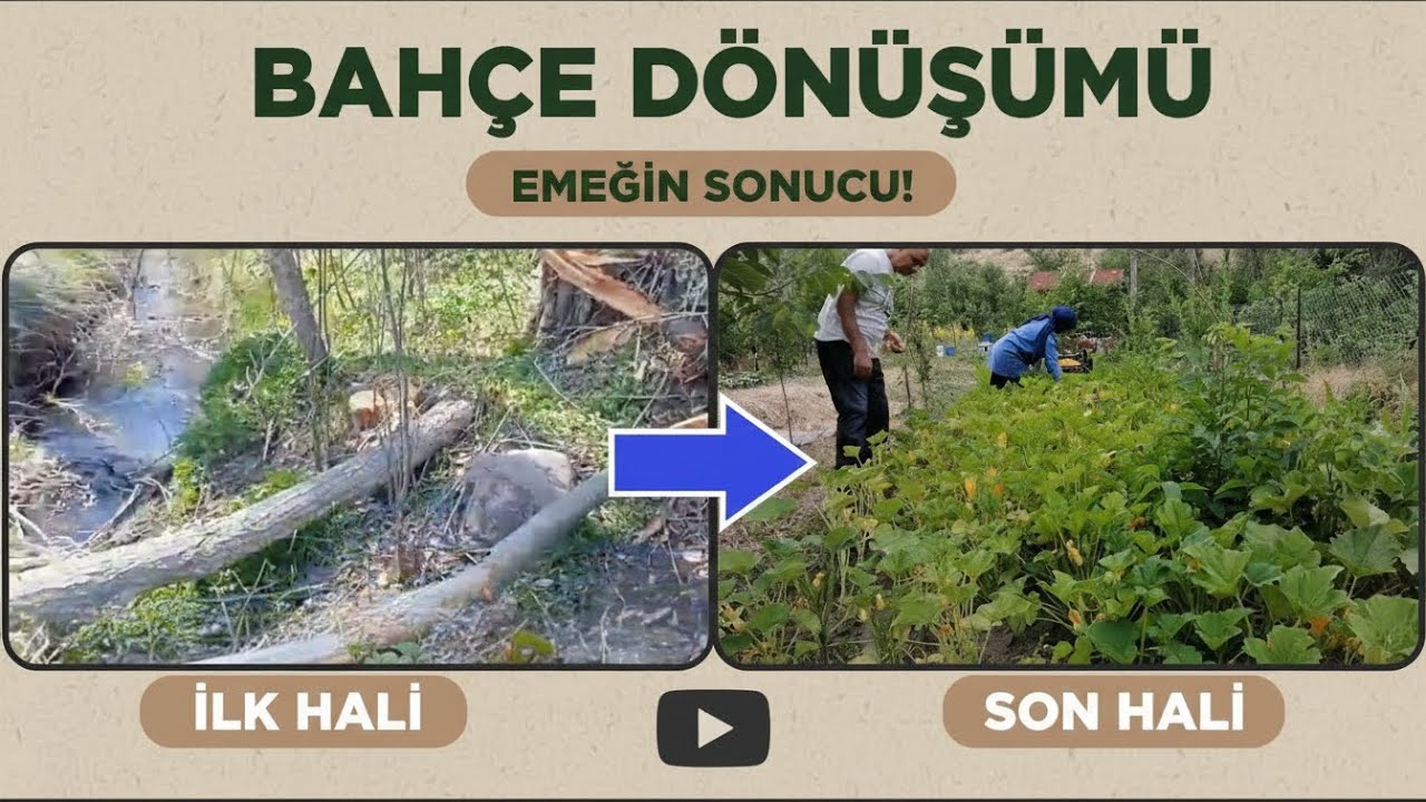 15 Dakikada Sıfırdan Bahçe Kurulumu / Garden setup from scratch in 15 minutes