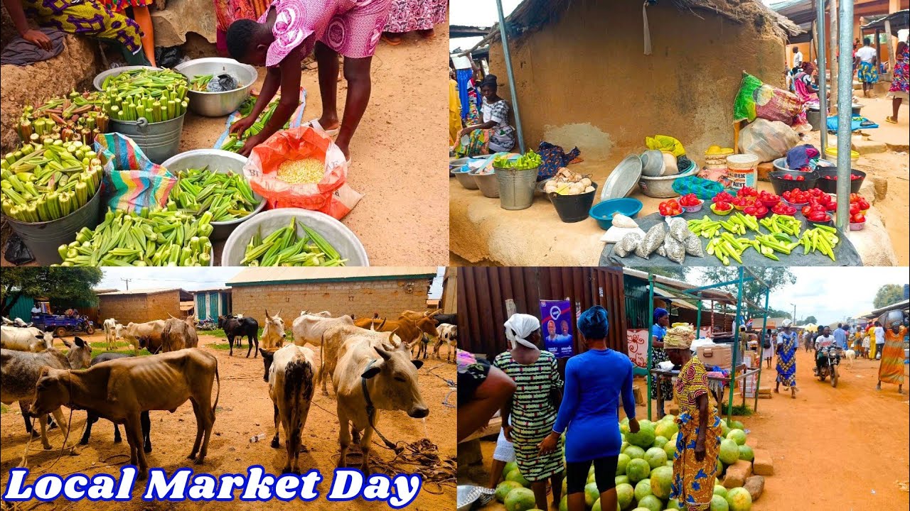Local Market Day in Northern Ghana's Pelungu Market West Africa Cost of Living