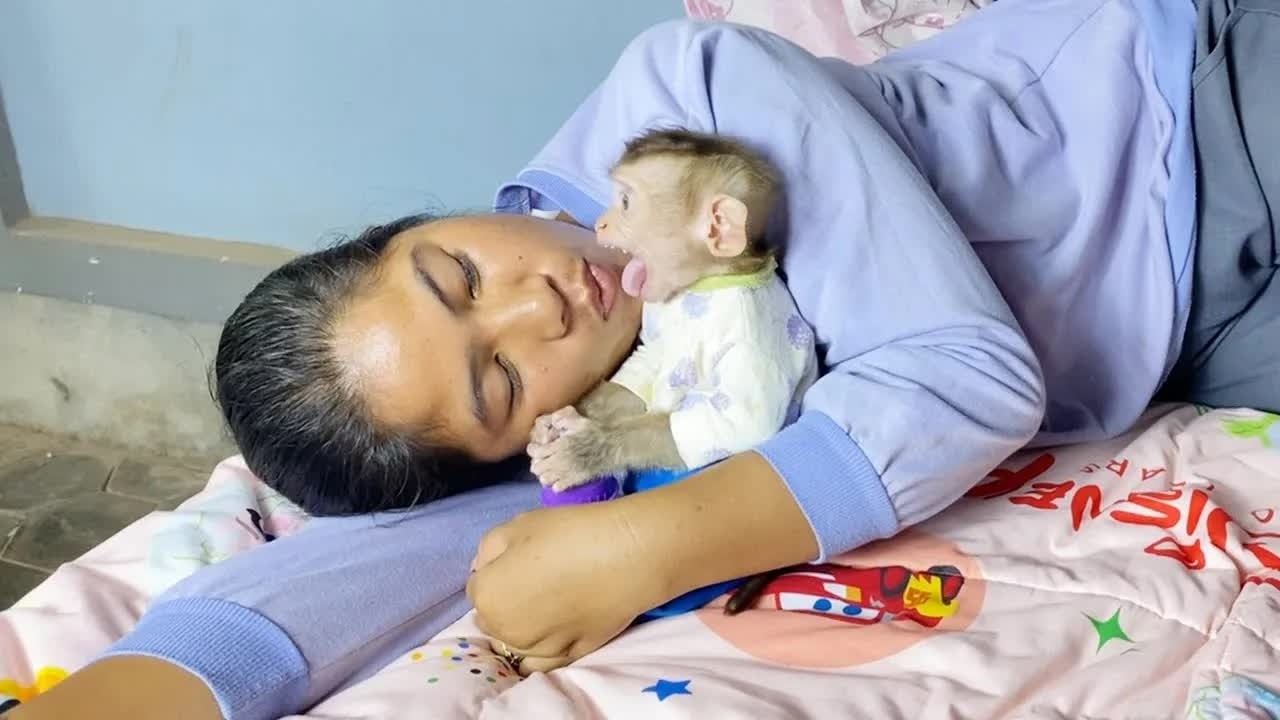 A Warming Heart Lil DAM Get The Most Take Care From Mommy