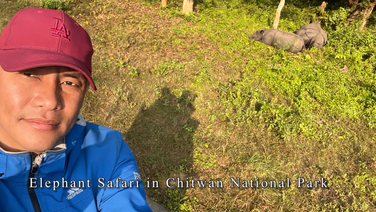 Unforgettable Elephant Safari Adventure at Chitwan National Park | Wildlife Exploration 2024