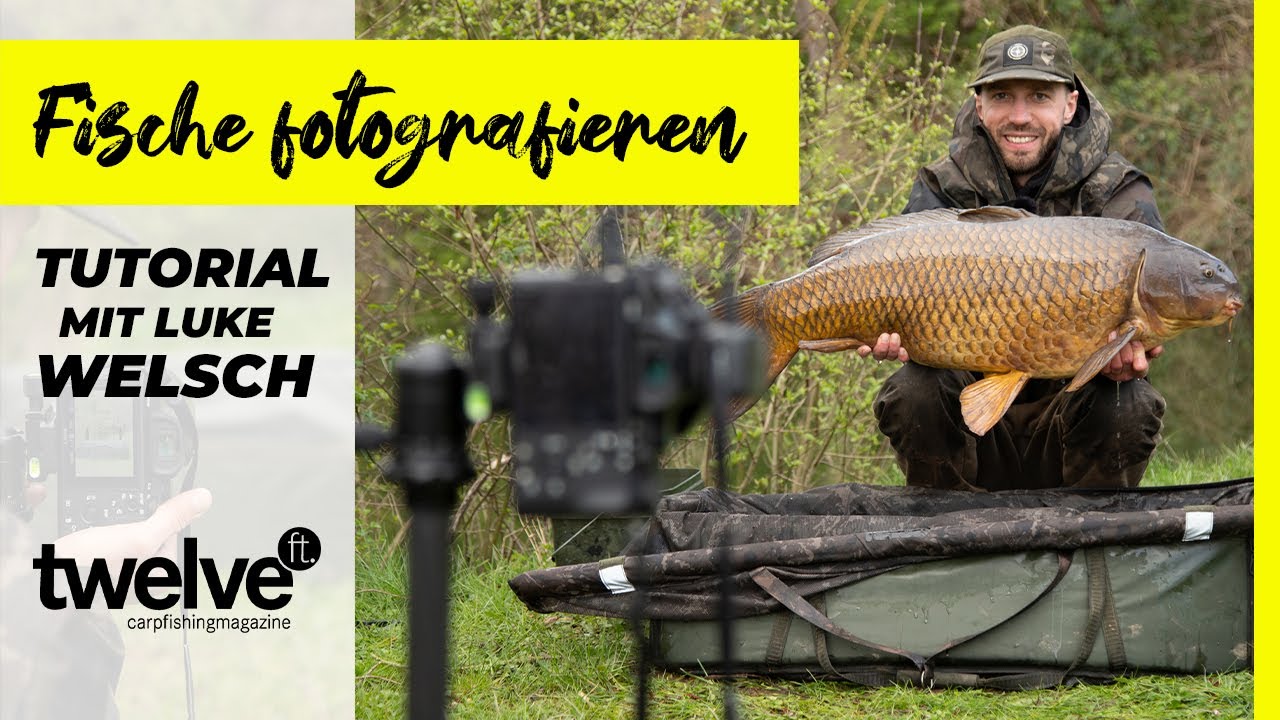 So fotografierst du alleine am Wasser deinen Fang! Karpfenangeln | NASH Tutorial | Kamera
