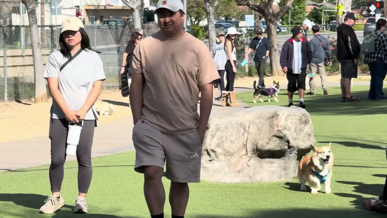 Corgi meetup 3-15-2026