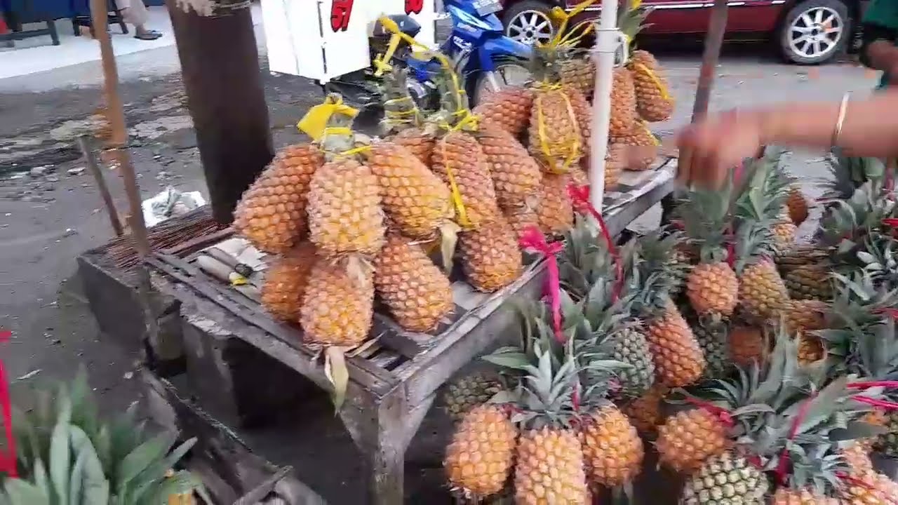Nanas Super Quen Patok Blitar