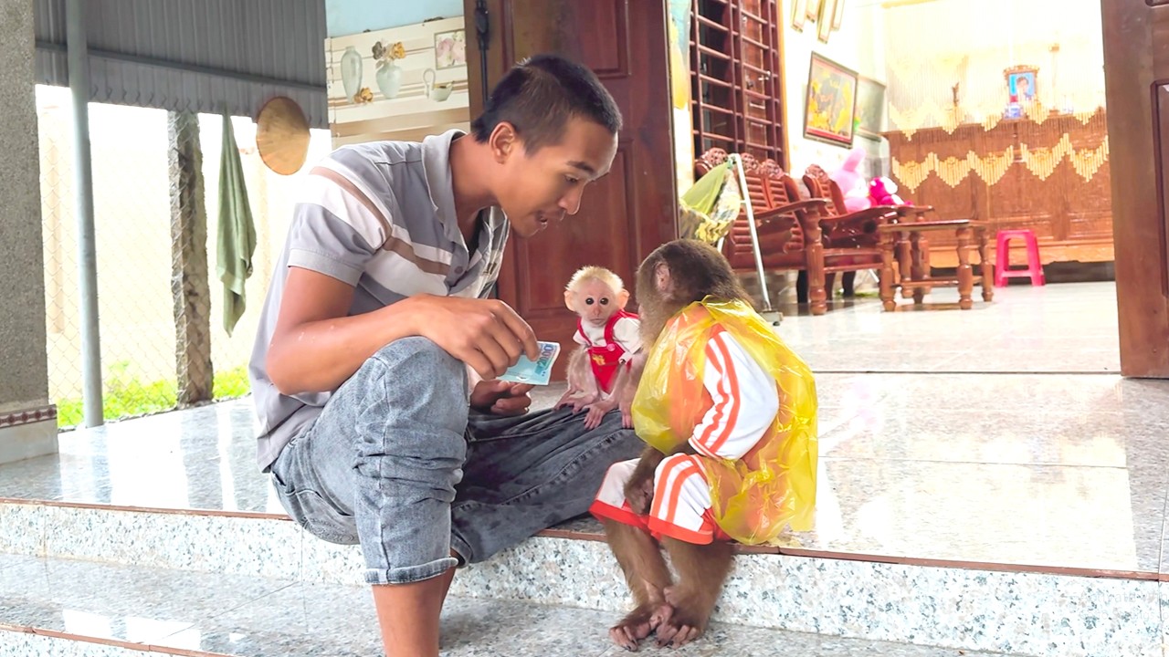 Dad’s Hilarious Reaction When CUTIS Asks for Money to Buy Snacks in the Rain