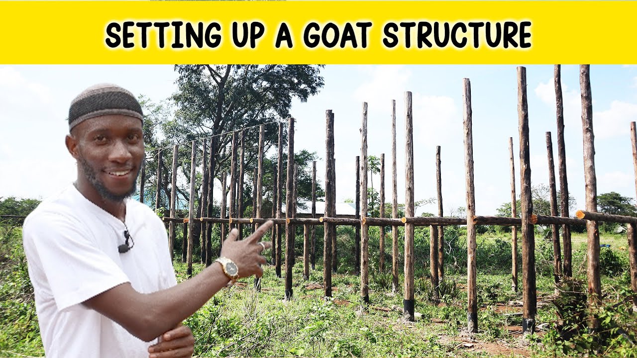How to Build a Goat Structure Anywhere Using This Smart Design | 2025
