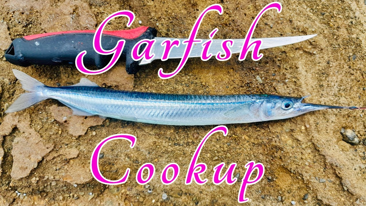 Garfish for Beginners: Catching, Cleaning and Cooking
