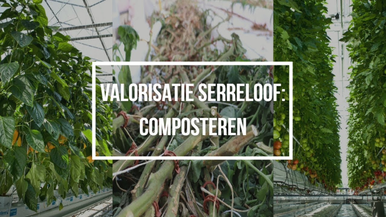 Valorisatie serreloof composteren (met Engelse ondertitels)