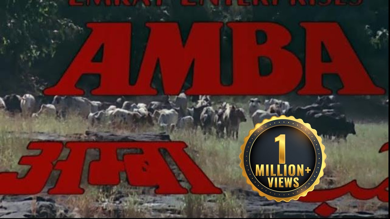 अनिल और मिनाक्षी की सुपरहिट कॉमेडी एक्शन मूवी | Amba Full Movie | Meenakshi Sheshadri | Anil Kapoor