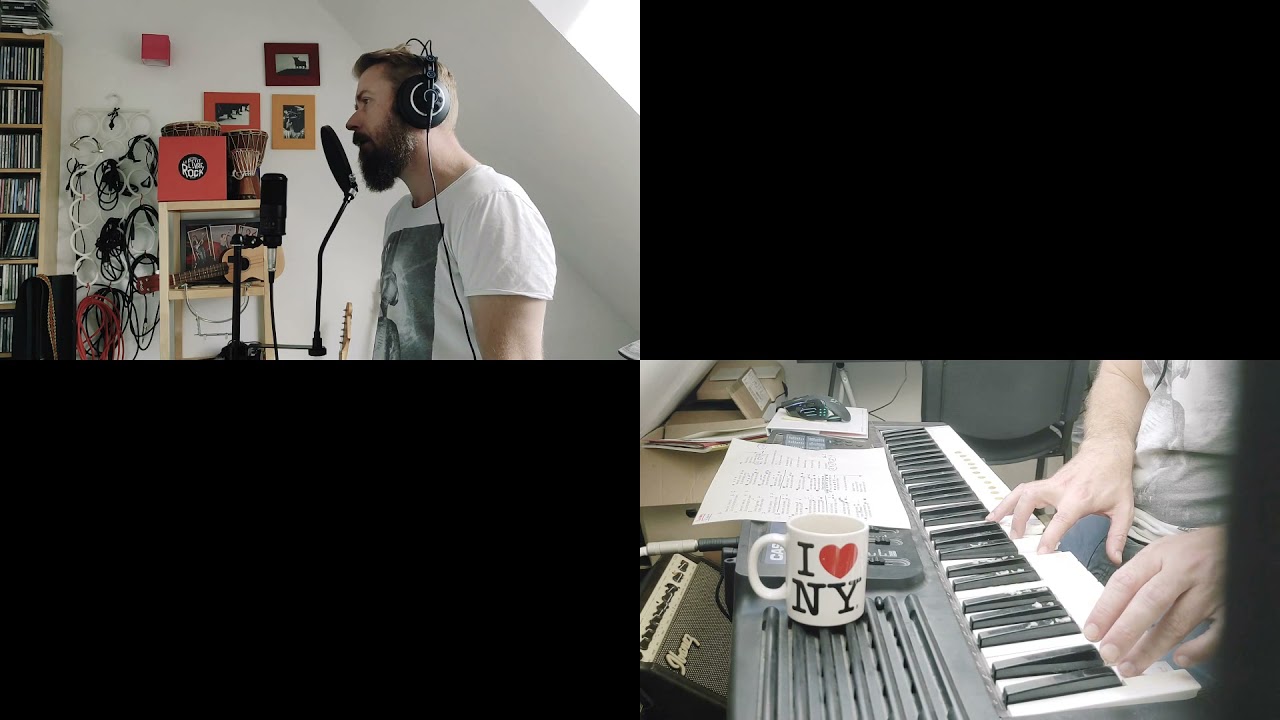 LCD Soundsystem - New York I Love You but you're bringing me down (cover)