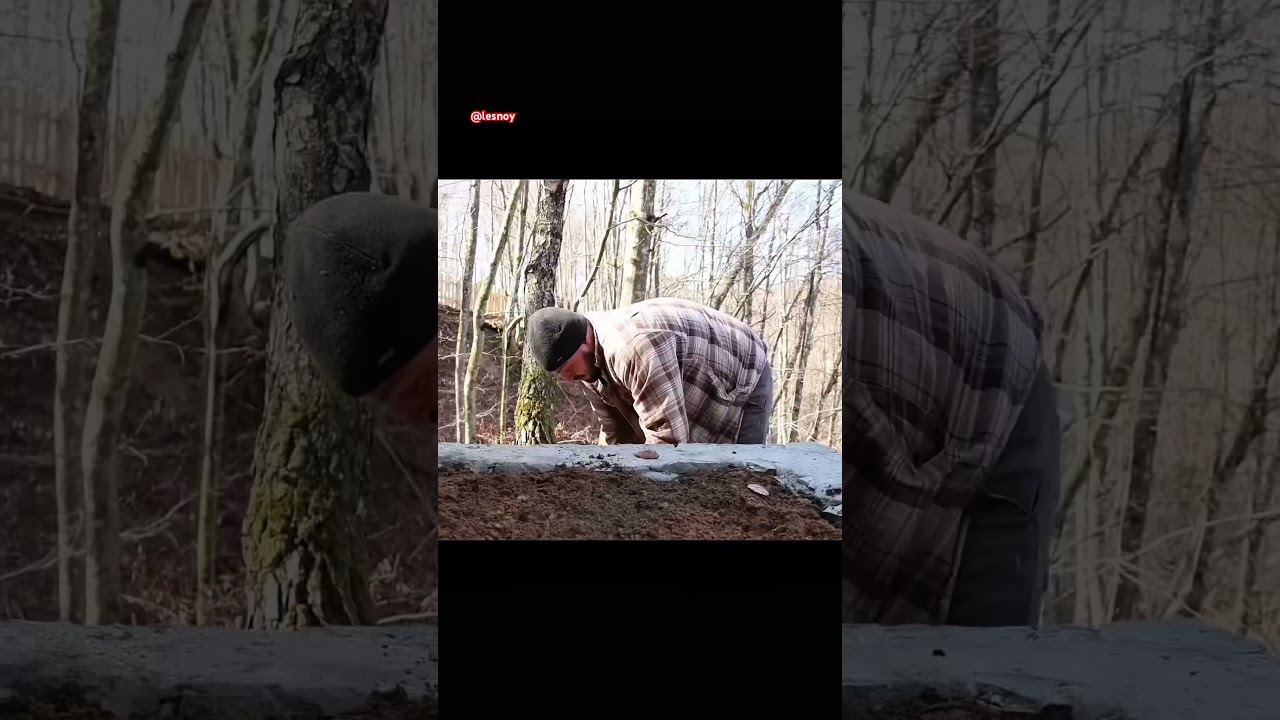 Living Off-Grid: I Built This Cabin With My Own Hands 🏕️ #construction #bushcraft #offgridliving