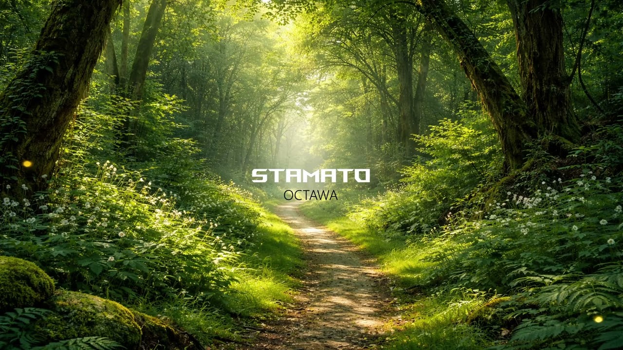 STAMATO - Octawa