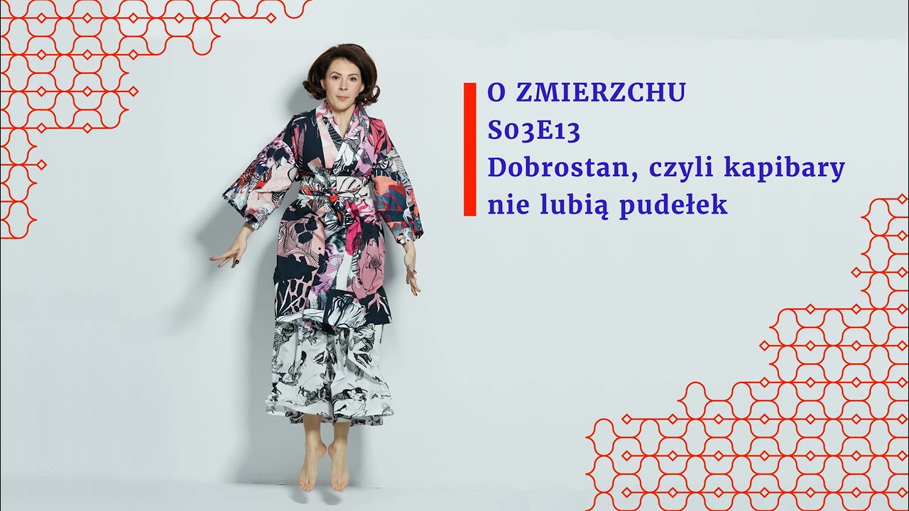 S03E13 Dobrostan, czyli kapibary nie lubią pudełek - O Zmierzchu
