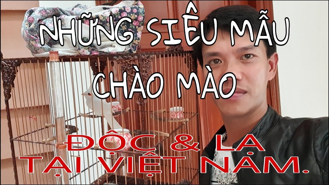 NHỮNG SIÊU MẪU CHÀO MÀO TẠI VIỆT NAM của nghệ nhân TÂY HỒ HÀ NỘI.