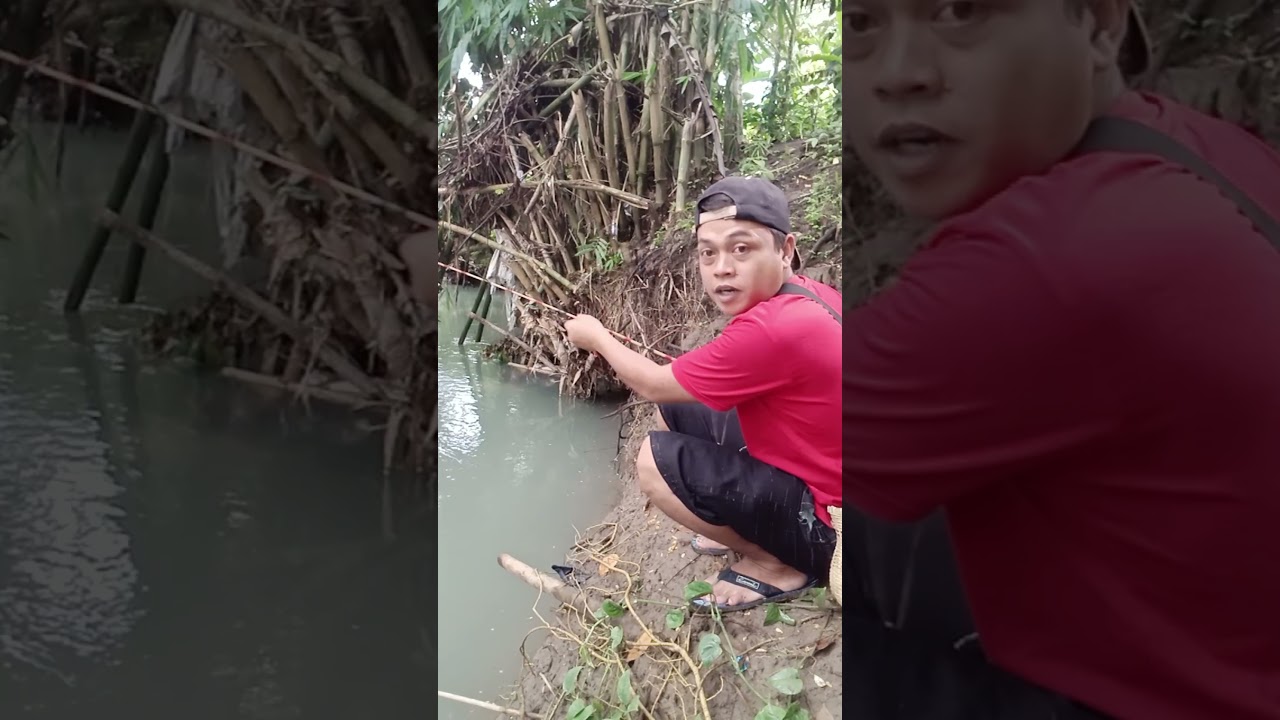 strike ikan wader yang cukup lumayan besar  