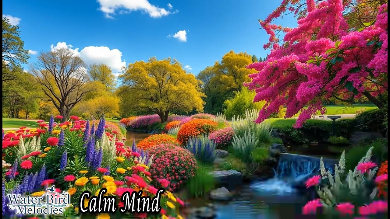 Feel the Calm | Soothing Instrumental Music for Stress Relief & Deep Sleep