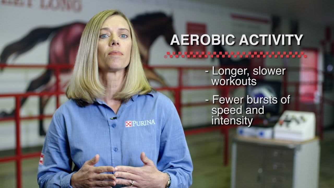 How to Feed Horses Based on Exercise Type