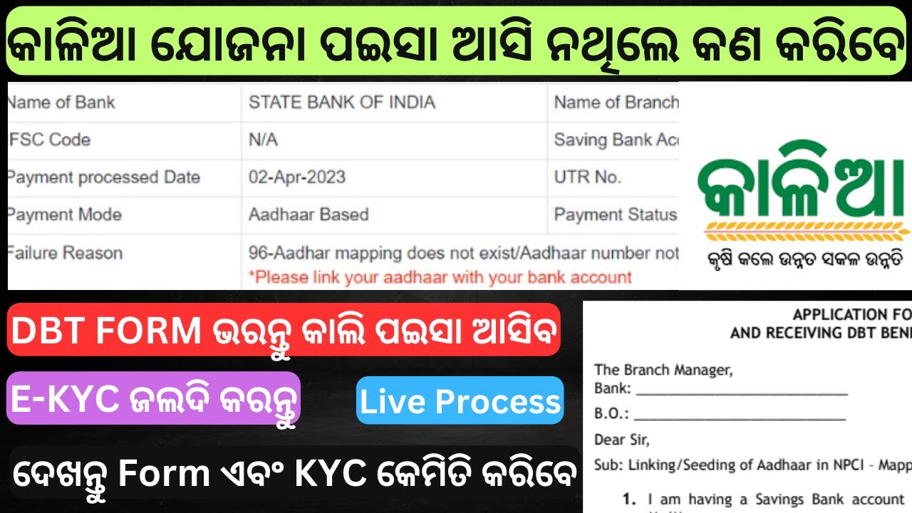 Kaliya Yojna Money not received in Bank Account 2023 ! Kaliya Yojana Instalment not Credited 2023
