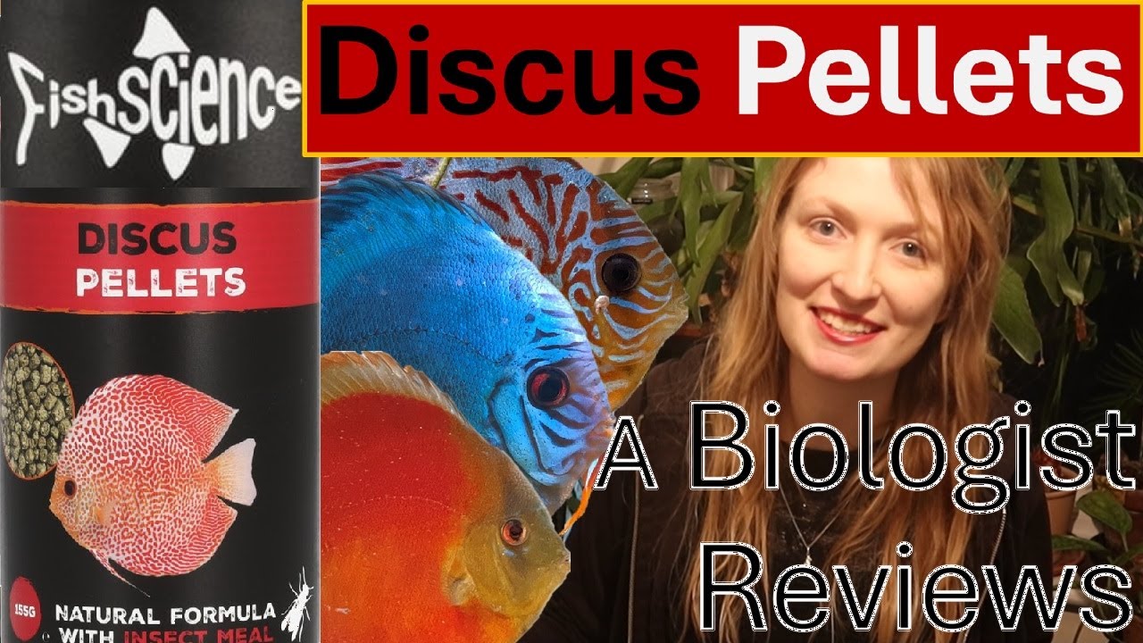 The Best Discus Food? Fish Science Discus Pellets #discus #aquarium #discusfish