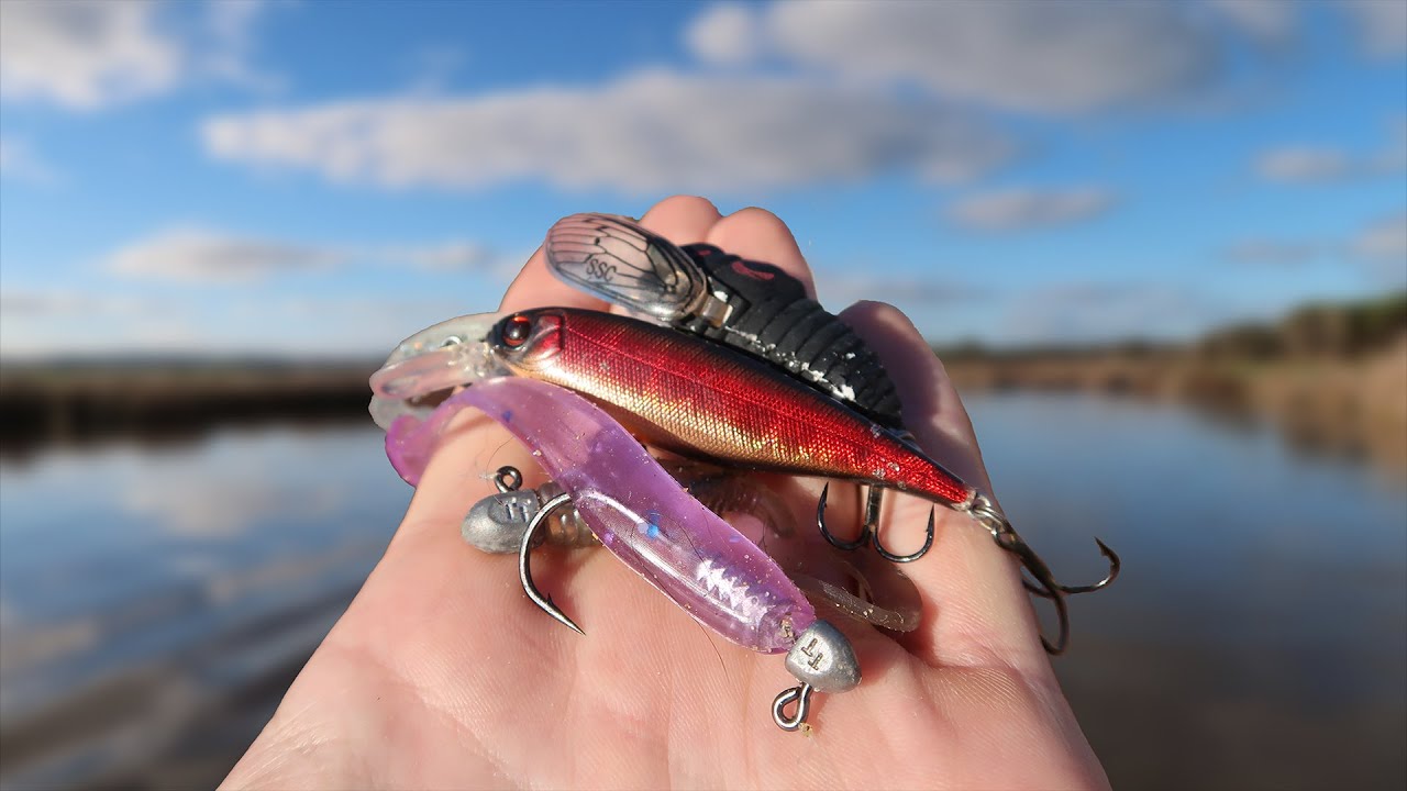 Best Estuary Fishing Lures & Techniques?!