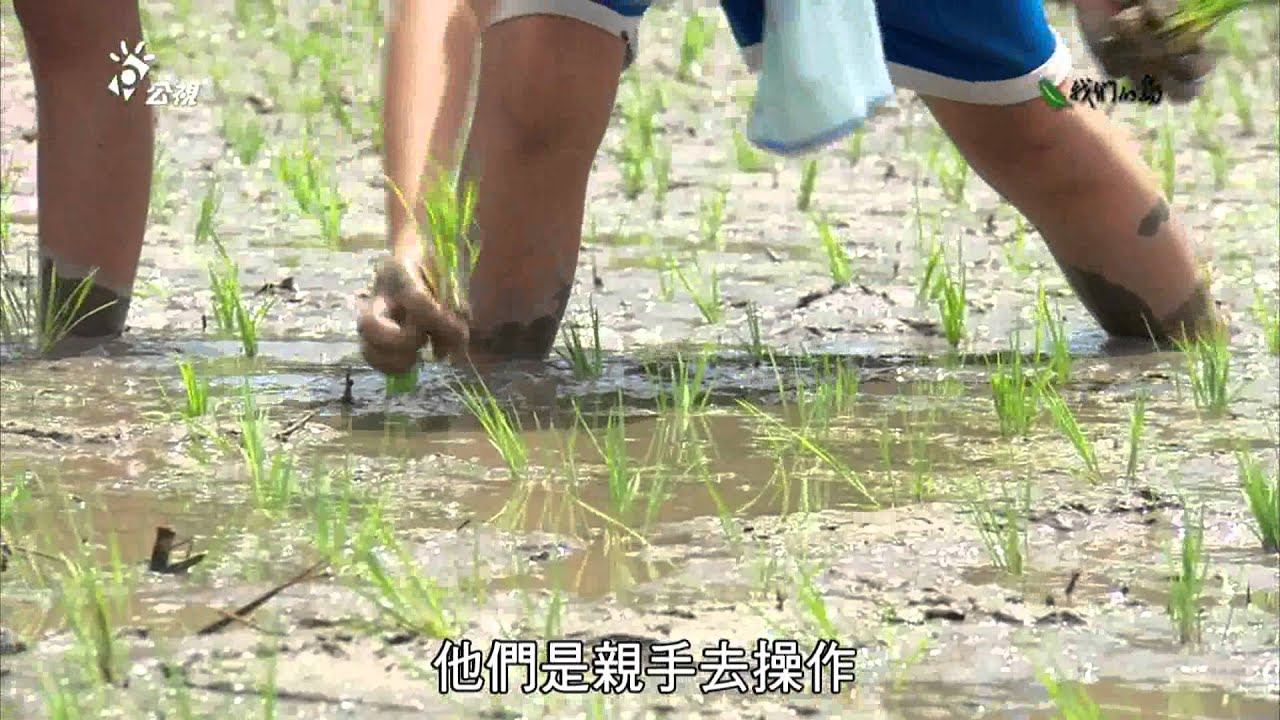 【農村體驗】裡山塾的里山經營學｜以在地農業推廣環境教育(我們的島 785集 2014-12-01)