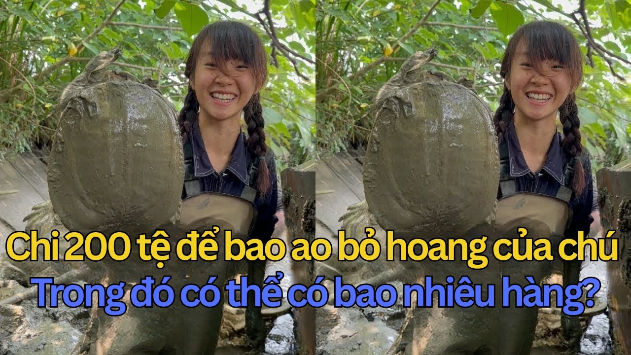 Chi 200 Tệ Bao Ao Hoang và Cái Kết Bội Thu: Lôi Lên Toàn Ba Ba 