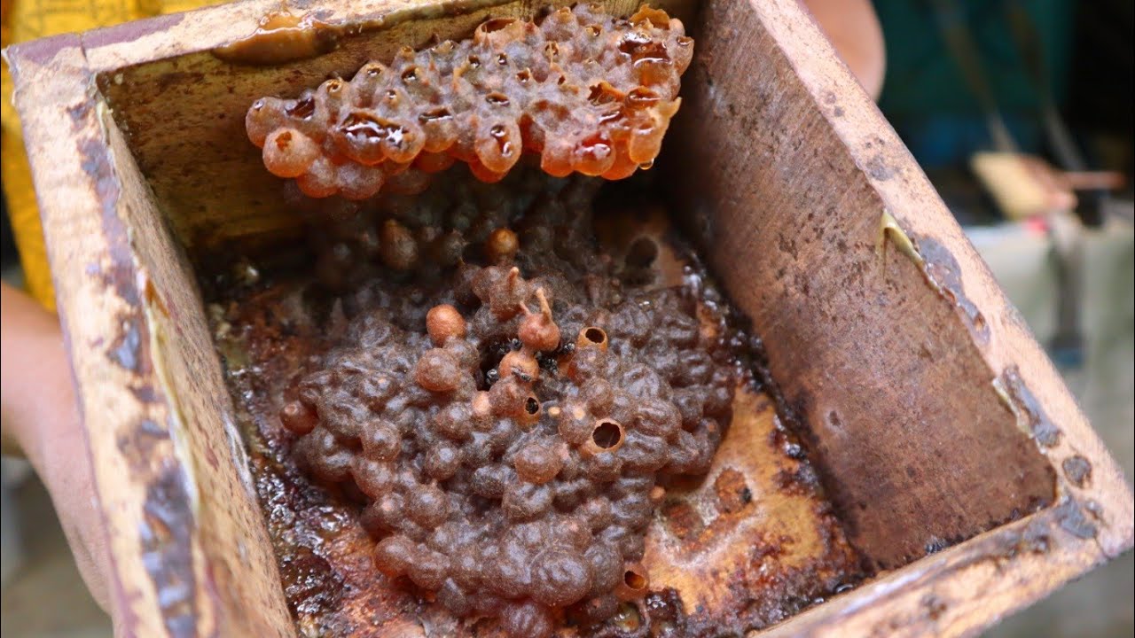 Double Layer Honey harvesting | തേൻ എളുപ്പത്തിൽ എടുക്കാം