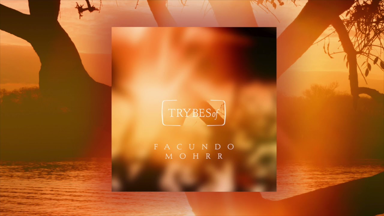 Facundo Mohrr - Mondo (try031)