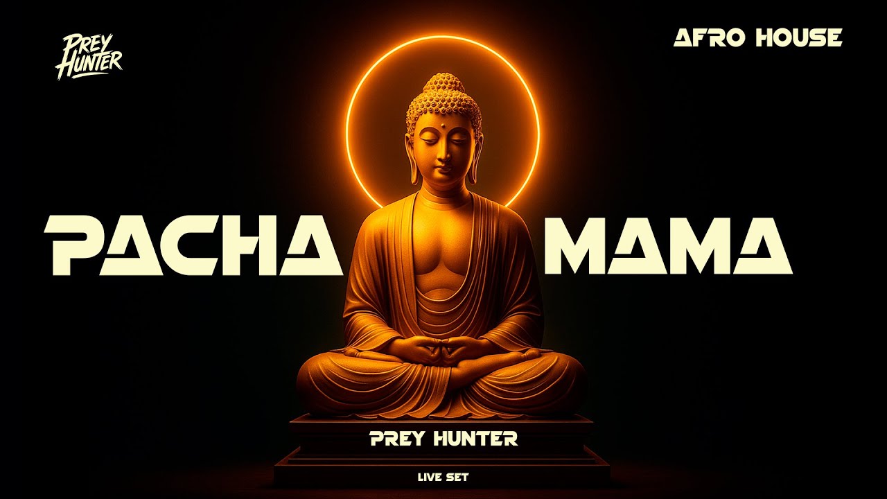 Afro House & Salsafro 🔥 Live Set 2026 | Prey Hunter