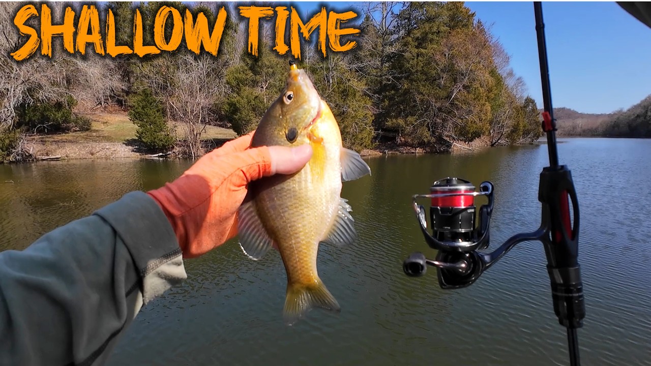 Searching for Shallow Fish and Ranting..