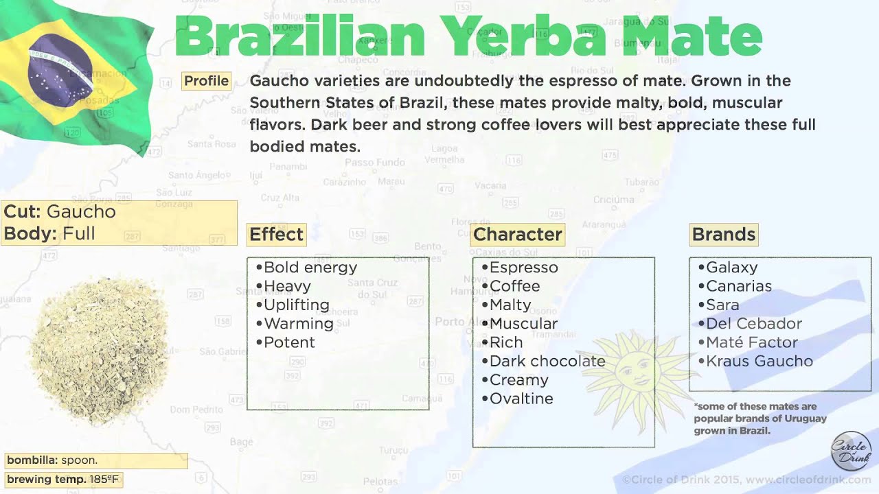 Understanding the Different Types of Yerba Mate