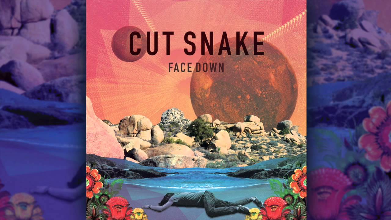 Cut Snake  - Face Down [Audio]