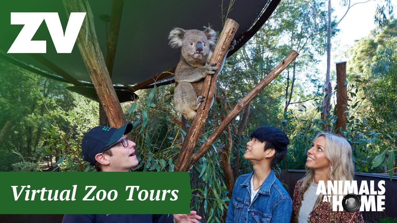 Virtual Tour of Healesville Sanctuary