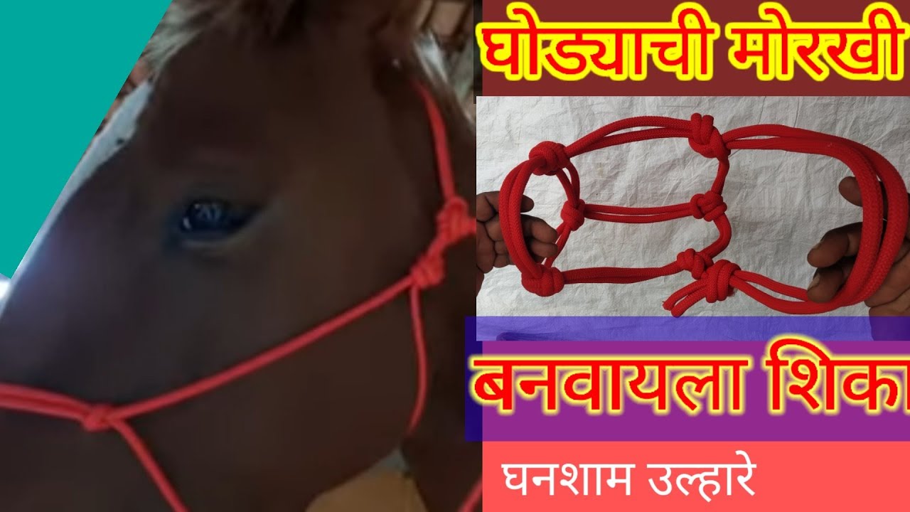 घोड्याची मोरखी बनवायला शिका