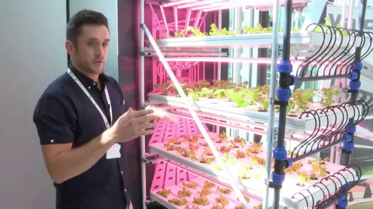 HydroGarden –  cultivating eco-systems for the future